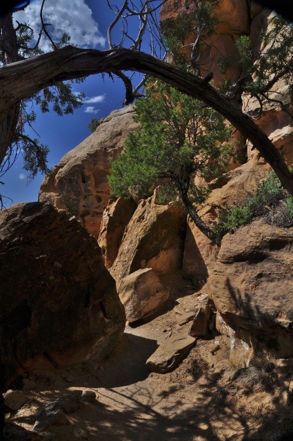 The Petroglyphs Trail